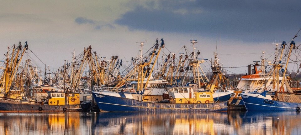 Et fiskerisamfunn kan tjene godt på fangsten, men miljøet kan tape. Eller som i Alaska, der driften er økologisk bærekraftig, men dyr, sånn at den økonomiske gevinsten blir liten.  (Foto: Shutterstock)