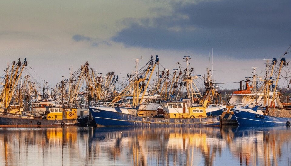 Et fiskerisamfunn kan tjene godt på fangsten, men miljøet kan tape. Eller som i Alaska, der driften er økologisk bærekraftig, men dyr, sånn at den økonomiske gevinsten blir liten.  (Foto: Shutterstock)