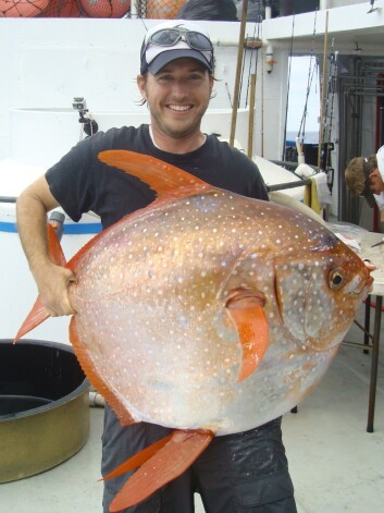 Den amerikanske marinbiologen Nick Wegner står bak den nye undersøkelsen av laksestørje. Her holder han en av dem. (Foto: NOAA Fisheries Service) Den amerikanske marinbiologen Nick Wegner står bak den nye undersøkelsen av laksestørje. Her holder han en av dem. (Foto: NOAA Fisheries Service)