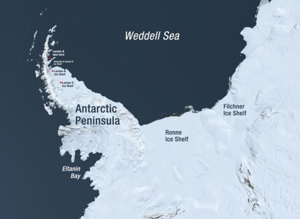 Den antarktiske halvøy med Eltanin-bukta og Larsen A, B og C merket. (Foto: NASA)