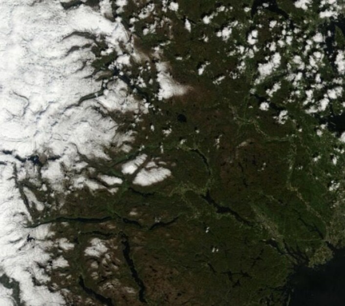 Telemark og Vestfold hadde solskinn da NASAs satellitt Terra passerte 23. mai. (Bilde: NASA Terra MODIS) Telemark og Vestfold hadde solskinn da NASAs satellitt Terra passerte 23. mai. (Bilde: NASA Terra MODIS)