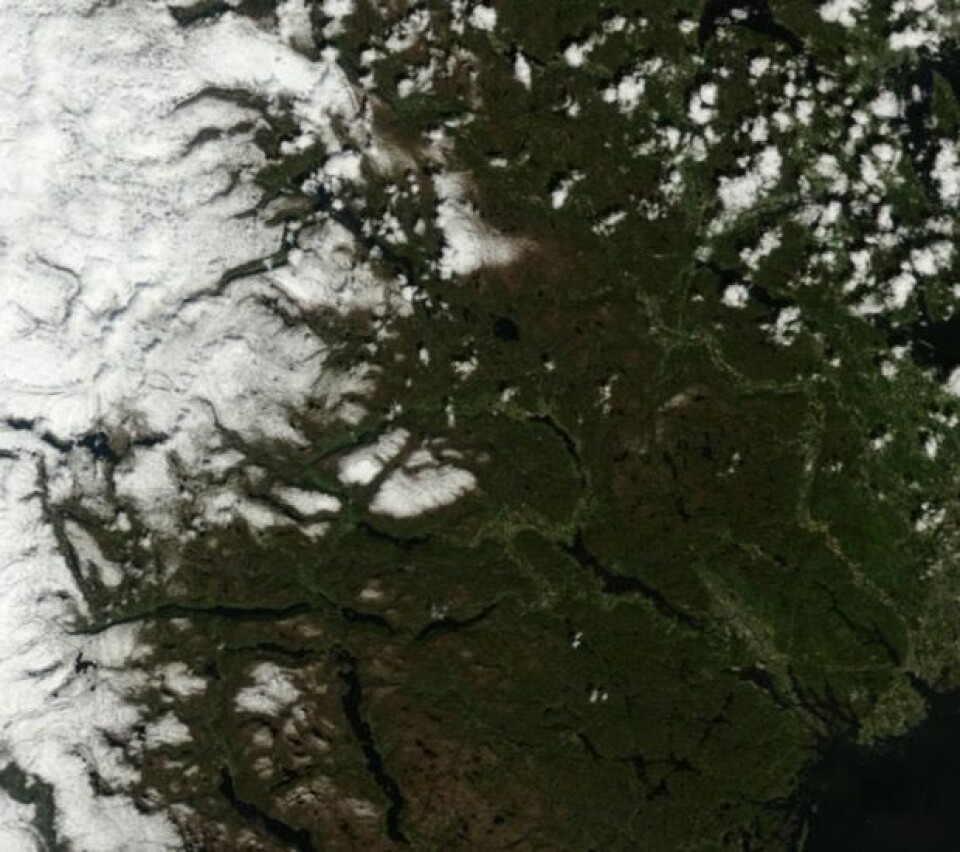 Telemark og Vestfold hadde solskinn da NASAs satellitt Terra passerte 23. mai. (Bilde: NASA Terra MODIS)
