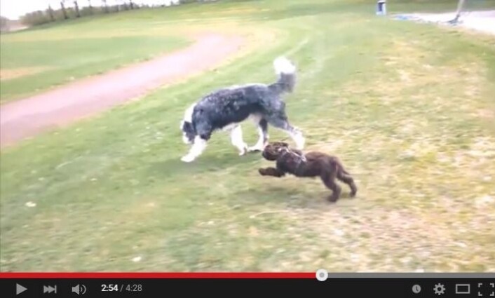 (Foto: Skjermdump fra YouTube) (Foto: Skjermdump fra YouTube)
