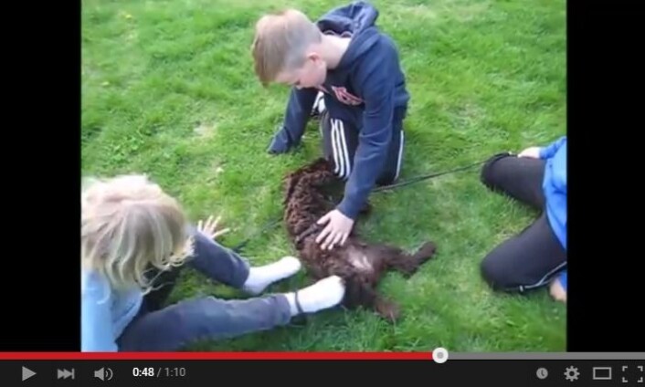 (Foto: Skjermdump fra YouTube) (Foto: Skjermdump fra YouTube)