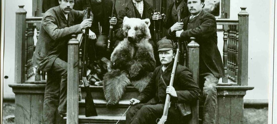 Rovdyrjakt i Sunndal. Bildet er sannsynligvis tatt i 1880-årene, og viser et jaktlag etter en bjørnejakt-suksess. (Foto: Nordmøre Museum)