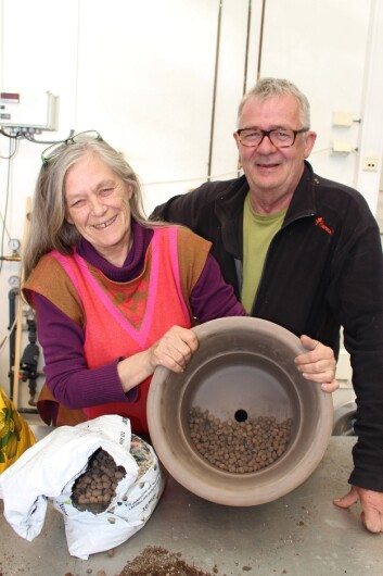 Anne Finnanger og Nils I. Skinnarland i Botanisk hage, Naturhistorisk museum, viser en velegnet potte med dreneringshull og delvis fylt med småstein og lecakuler. (Foto: Dag Inge Danielsen) Anne Finnanger og Nils I. Skinnarland i Botanisk hage, Naturhistorisk museum, viser en velegnet potte med dreneringshull og delvis fylt med småstein og lecakuler. (Foto: Dag Inge Danielsen)