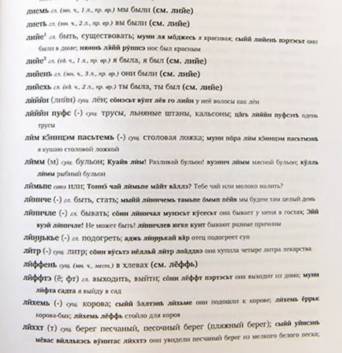 Den nye ordboken inneholder ord, bøyingsformer og setninger hentet fra Pippi for å vise hvordan grammatikken fungerer.