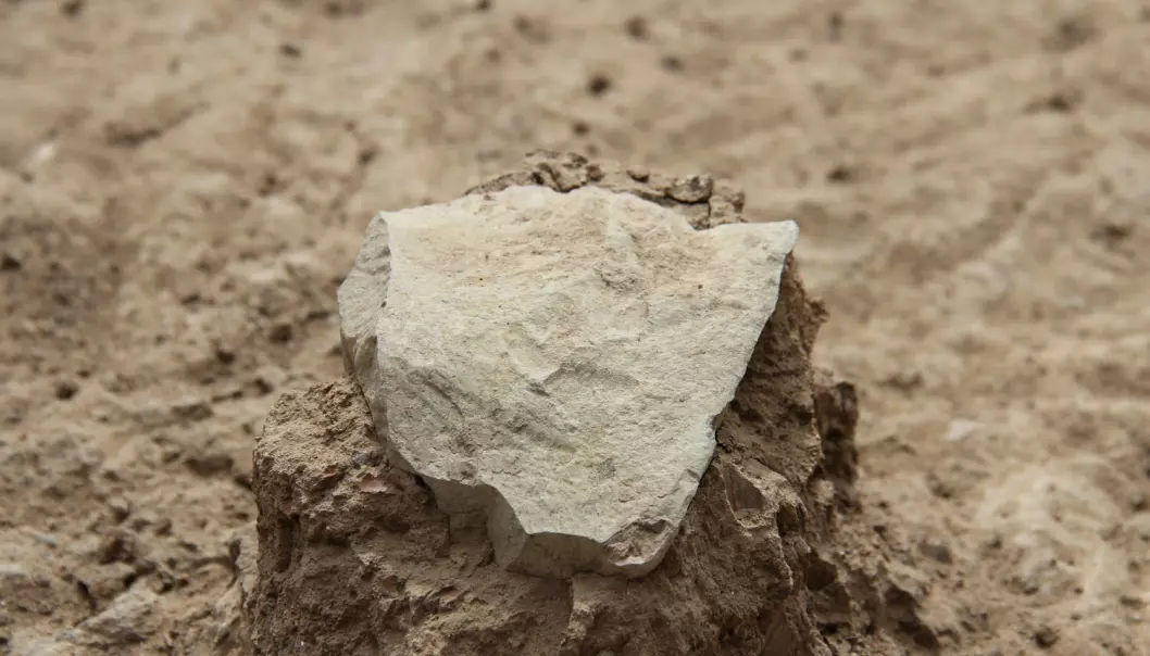 3,3 millioner år gamle steinredskaper funnet i Kenya