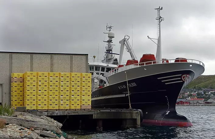 ”Talbor” fra Austevoll leverer snøkrabbe i Kjøllefjord sist sommer. Mer enn 20 båter fra EU, Russland og Norge deltok i snøkrabbefisket i 2014, og det forventes fangster på cirka 10.000 tonn i 2015.   (Foto: Gunnar Sætra/Havforskningsinstituttet)