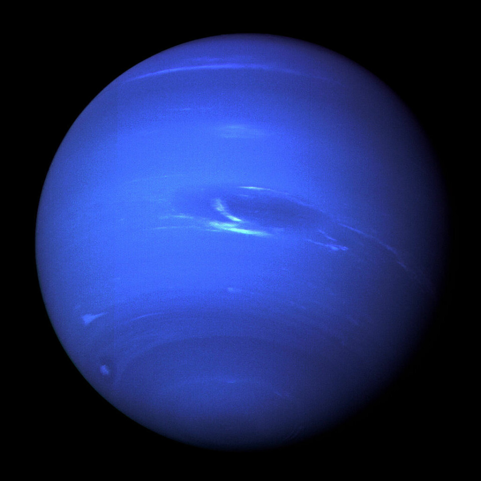 Planeten Neptun, også sett av Voyager 2. (Foto: NASA/JPL)