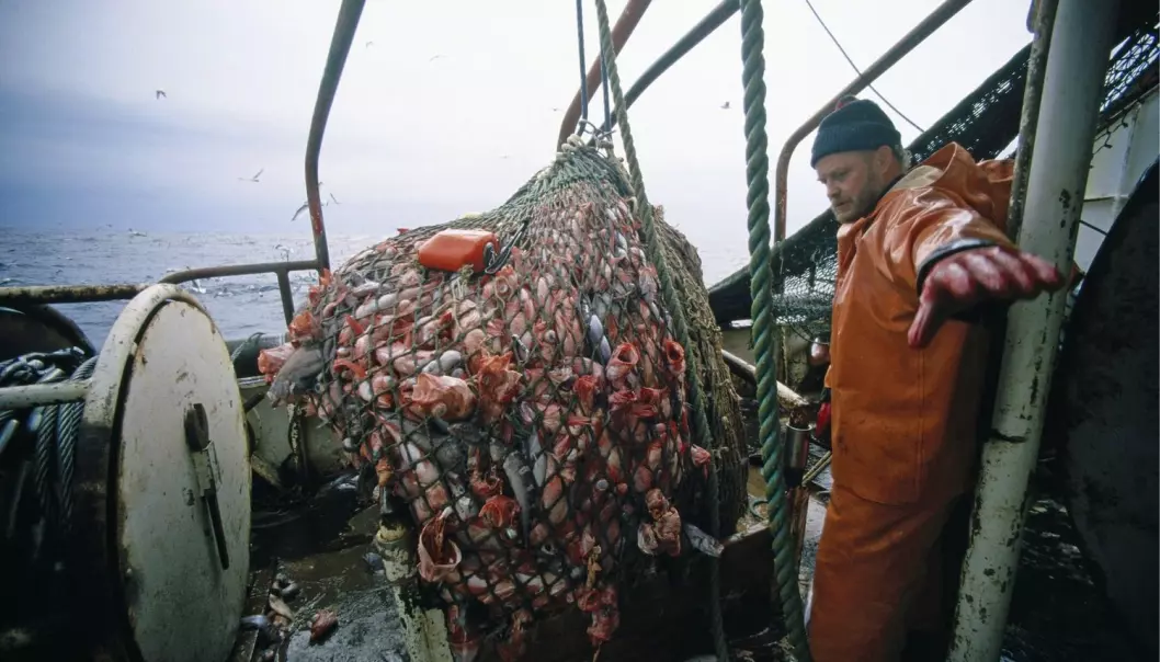 Norsk lov innan miljø og forvalting av naturressursar blir i stor grad påverka av avgjerder fatta av EU-domstolen. Illustrasjonsfotoet syner ein tysk fisketrålar i Nordsjøen utanfor kysten av Noreg. (Foto: Thomas Raupach, NTB Scanpix)