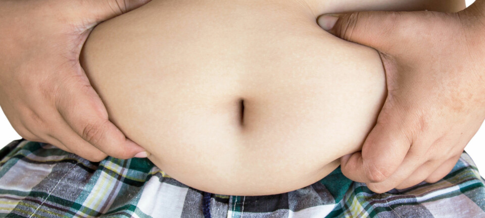 Fedme kan ligge til familien. Men det at så mange blir fete i dag, kan verken forklares med gener eller livsstil, sier forskeren bak en ny studie.  (Foto: Microstock)