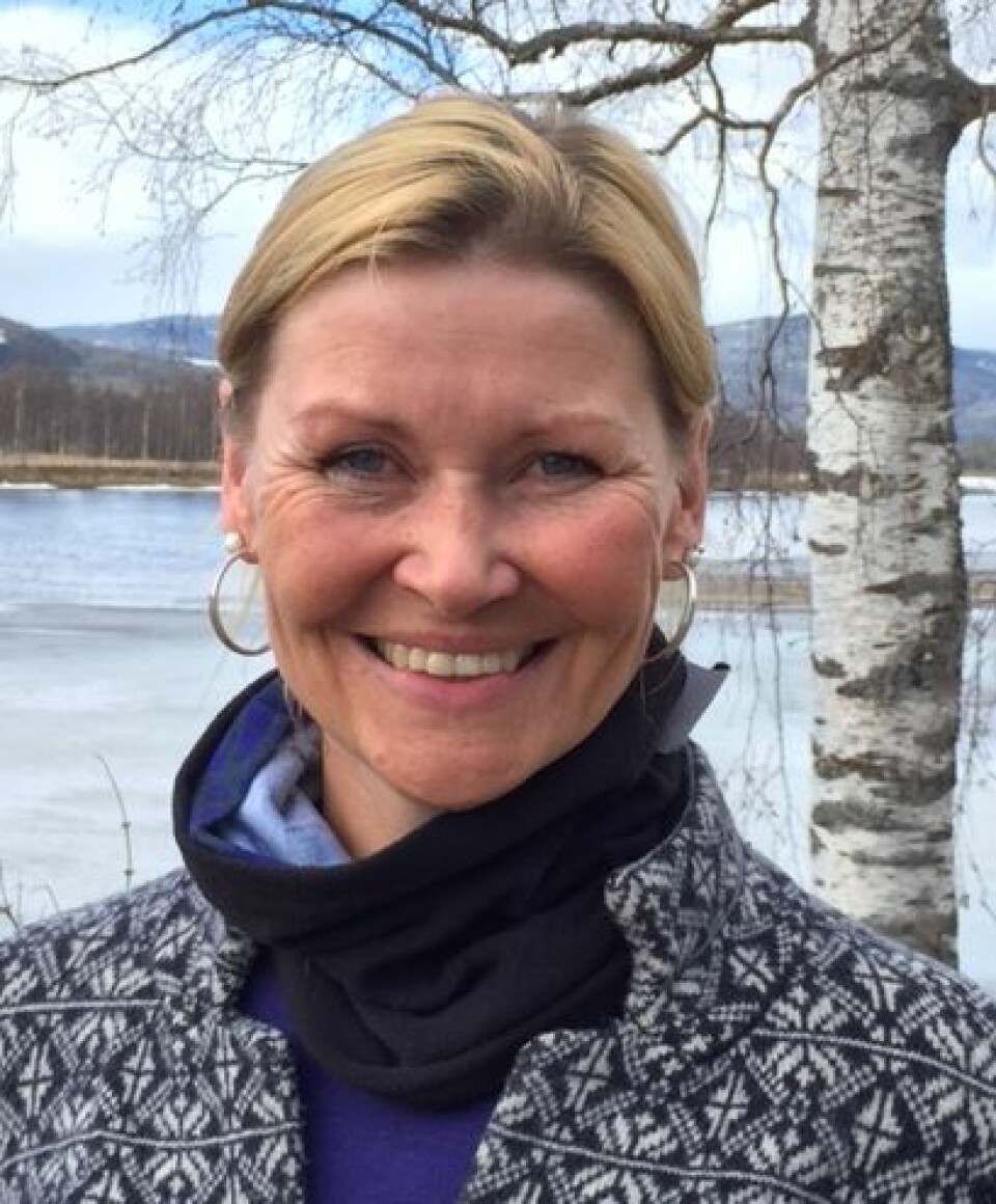 Kristin E. Gangås er forsker ved Høgskolen i Hedmarks campus på Evenstad i Østerdalen.  (Foto: Bård Amundsen)