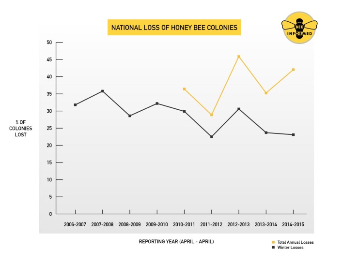 Den svarte grafen viser hvor mange prosent av bikoloniene som har kollapset i løpet av vinteren over flere år. Den gule grafen viser hele året. (Foto: Bee Informed Partnership/University of Maryland/Loretta Kuo) Den svarte grafen viser hvor mange prosent av bikoloniene som har kollapset i løpet av vinteren over flere år. Den gule grafen viser hele året. (Foto: Bee Informed Partnership/University of Maryland/Loretta Kuo)