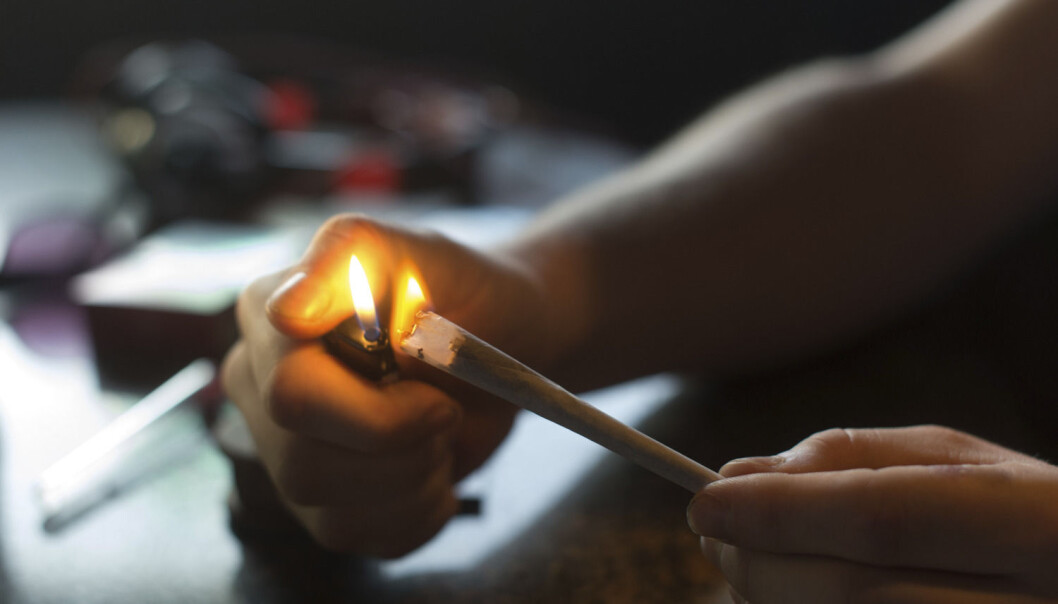 Det er ikke uvanlig at studenter i Maastricht bruker hasj og marihuana. (Foto: Ermindo Armino, AP/NTB scanpix) Det er ikke uvanlig at studenter i Maastricht bruker hasj og marihuana. (Foto: Ermindo Armino, AP/NTB scanpix)