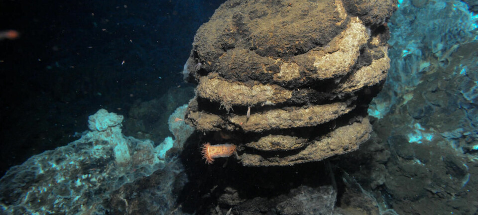 Det var rundt en undersjøisk vulkan som denne at en internasjonal forskergruppe fant den nye mikroorganismen under et tokt med forskningsfartøyet G. O. Sars i Norskehavet. (Foto:  Senter for geobiologi, UiB)