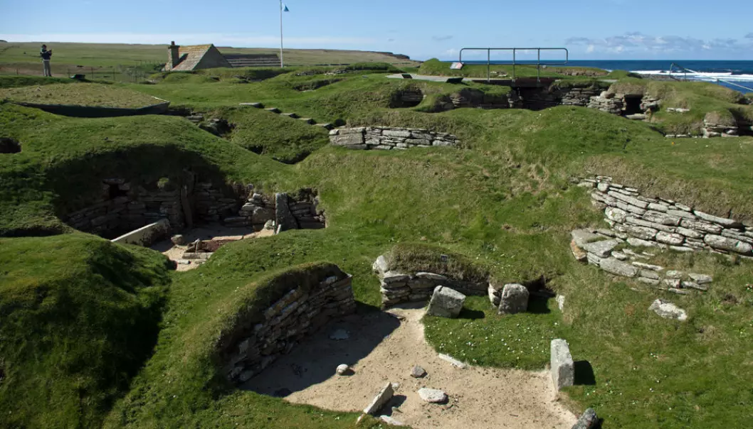Slik bodde folk på Orknøyene for 5000 år siden. Steinalderbosetningen Skara Brae er så godt bevart at den omtales som «Skottlands Pompeii». Nå viser det seg at orknøyingene fremdeles bærer på uventet mye DNA fra folkegruppene som bodde på øyene før vikingene kom. (Foto: Georg Mathisen)