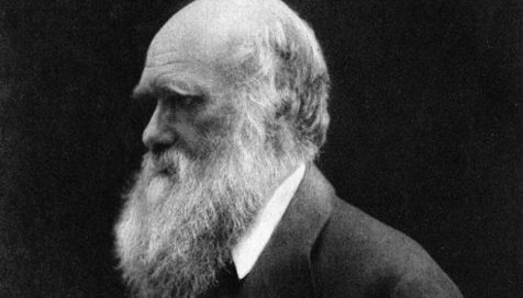 Darwin i de siste årene av sitt liv. Han kan ha blitt inspirert av en nordmann som bodde på Galapagos da han besøkte øygruppa som en ung mann. (Foto: Ukjent/Offentlig eiendom) Darwin i de siste årene av sitt liv. Han kan ha blitt inspirert av en nordmann som bodde på Galapagos da han besøkte øygruppa som en ung mann. (Foto: Ukjent/Offentlig eiendom)