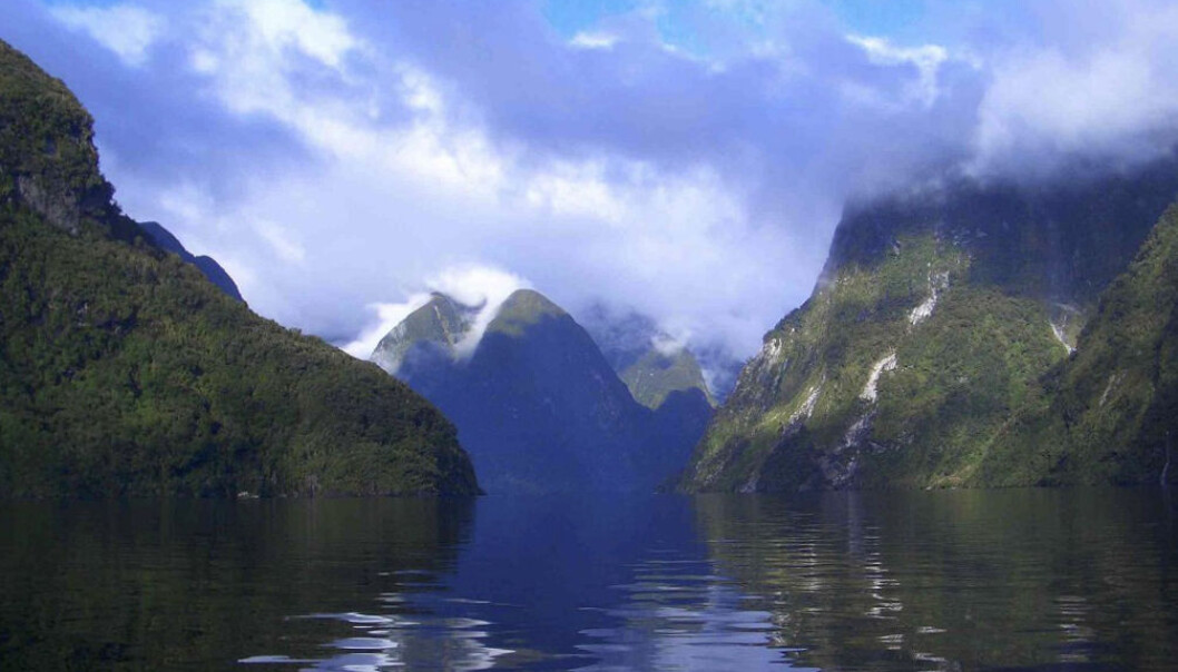 De bratte fjordveggene og den dype bunnen sikrer at organiske stoffer begraves før kjemiske reaksjoner slipper karbonet fri igjen. Derfor er fjorder gull verd for klimaet. Bildet viser Doubtful Sound i Fiordland på New Zealand, en av de mange fjordene over hele verden som er tatt med i studien i Nature Geoscience. (Foto: Candida Savage) De bratte fjordveggene og den dype bunnen sikrer at organiske stoffer begraves før kjemiske reaksjoner slipper karbonet fri igjen. Derfor er fjorder gull verd for klimaet. Bildet viser Doubtful Sound i Fiordland på New Zealand, en av de mange fjordene over hele verden som er tatt med i studien i Nature Geoscience. (Foto: Candida Savage)