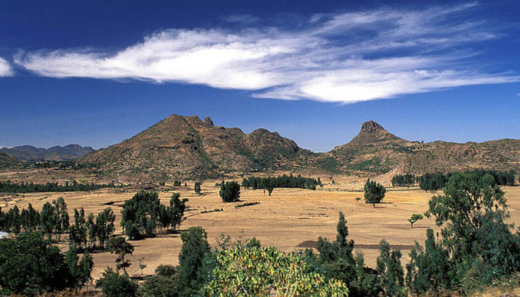 Et sted i Etiopia ble et menneske tenåring for aller første gang. Dette bildet er tatt i nærheten av byen Yeha nord i Etiopia. (Foto: Jialiang Gao, Wikimedia Commons) Et sted i Etiopia ble et menneske tenåring for aller første gang. Dette bildet er tatt i nærheten av byen Yeha nord i Etiopia. (Foto: Jialiang Gao, Wikimedia Commons)
