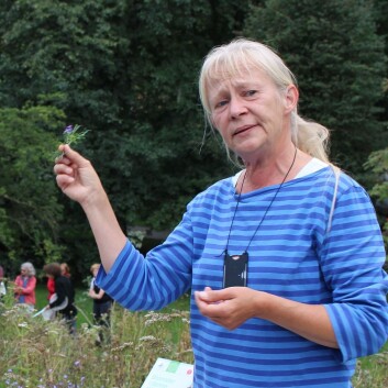 Kristina Bjureke brenner for blomster som trives i karrig jord. (Foto: Dag Inge Danielsen) Kristina Bjureke brenner for blomster som trives i karrig jord. (Foto: Dag Inge Danielsen)