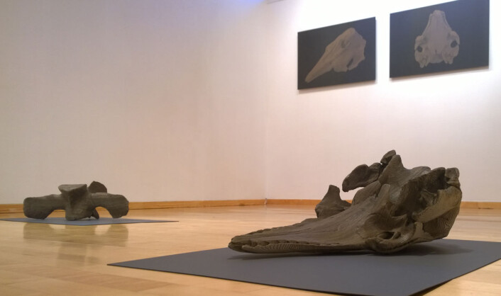 Utstillingen på Galleri Svalbard ga de besøkende et nytt og uventet glimt av norsk fangsthistorie fra et sted som ikke en gang mange av beboerne hadde besøkt. (Foto: Trond Kasper Mikkelsen) Utstillingen på Galleri Svalbard ga de besøkende et nytt og uventet glimt av norsk fangsthistorie fra et sted som ikke en gang mange av beboerne hadde besøkt. (Foto: Trond Kasper Mikkelsen)