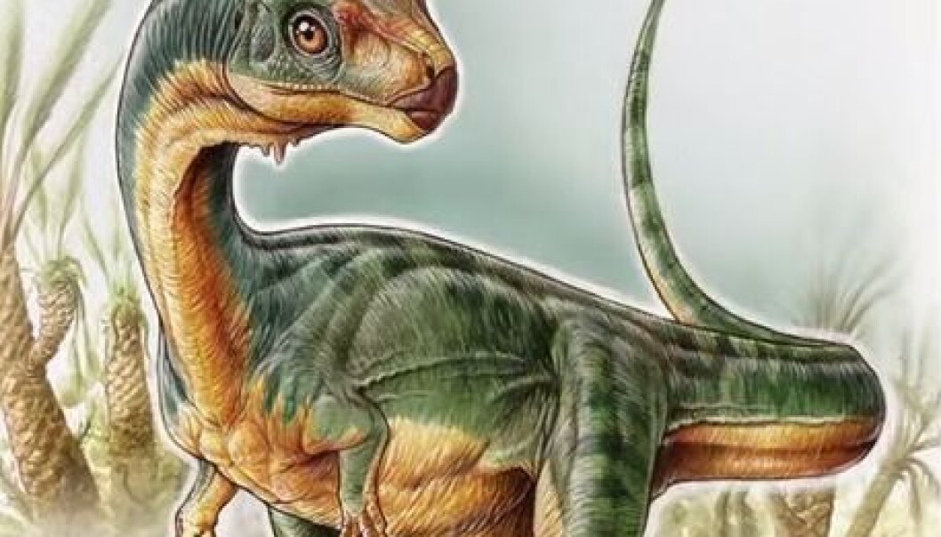 Professor Jørn Hurum tror det stemmer at de har funnet en ny dino. Men han er helt enig i at det er et helt merkelig dyr. (Illustrasjon: Gabriel Lío, stillbilde fra forskernes youtubevideo) Professor Jørn Hurum tror det stemmer at de har funnet en ny dino. Men han er helt enig i at det er et helt merkelig dyr. (Illustrasjon: Gabriel Lío, stillbilde fra forskernes youtubevideo)