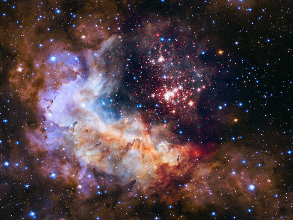Stjerneklyngen Westerlund 2 sett av romteleskopet Hubble. Westerlund 2 ligger i stjernebildet Carina rundt 20 000 lysår fra jorda og inneholder cirka 3000 stjerner. Her antennes nye stjerner, synlige i hvitt og blått. Røde punkter er stjerneembryoer som ennå ikke har blitt tent. (Foto: NASA, ESA, the Hubble Heritage Team (STScI/AURA), A. Nota (ESA/STScI) and the Westerlund 2 Science Team)