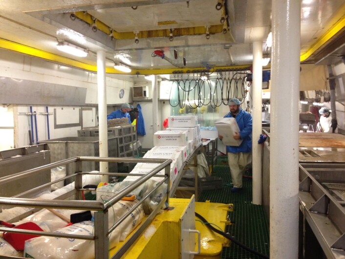 Fabrikken på "Northeastern", ferdig pakket produkt klart til markedet i Japan, på tur ned i fryserommet. (Foto: Arne Birkeland) Fabrikken på "Northeastern", ferdig pakket produkt klart til markedet i Japan, på tur ned i fryserommet. (Foto: Arne Birkeland)