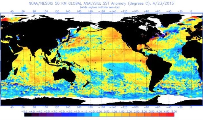 Mens vi snakker om temperatur og vanndamp og sånt: Slik var satellittmålt SST-anomali ved arbeidsukens slutt. Det er en liten El Ninjo i Stillehavet, og dessuten varmt i Det indiske hav. (Bilde: NOAA) Mens vi snakker om temperatur og vanndamp og sånt: Slik var satellittmålt SST-anomali ved arbeidsukens slutt. Det er en liten El Ninjo i Stillehavet, og dessuten varmt i Det indiske hav. (Bilde: NOAA)