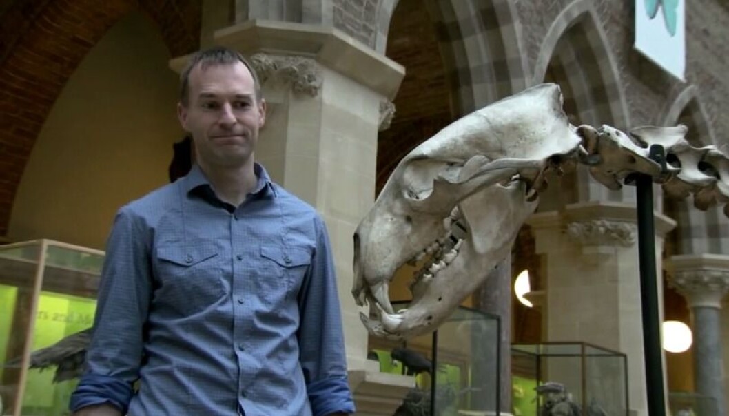 Evolusjonsbiolog Greger Larson samler forskere fra hele verden til å analysere skjelett, hodeskaller og tenner fra hunder og ulver som levde for flere tiår siden. (Stillbilde fra eksperimentets youtubevideo, Science Magazine) Evolusjonsbiolog Greger Larson samler forskere fra hele verden til å analysere skjelett, hodeskaller og tenner fra hunder og ulver som levde for flere tiår siden. (Stillbilde fra eksperimentets youtubevideo, Science Magazine)