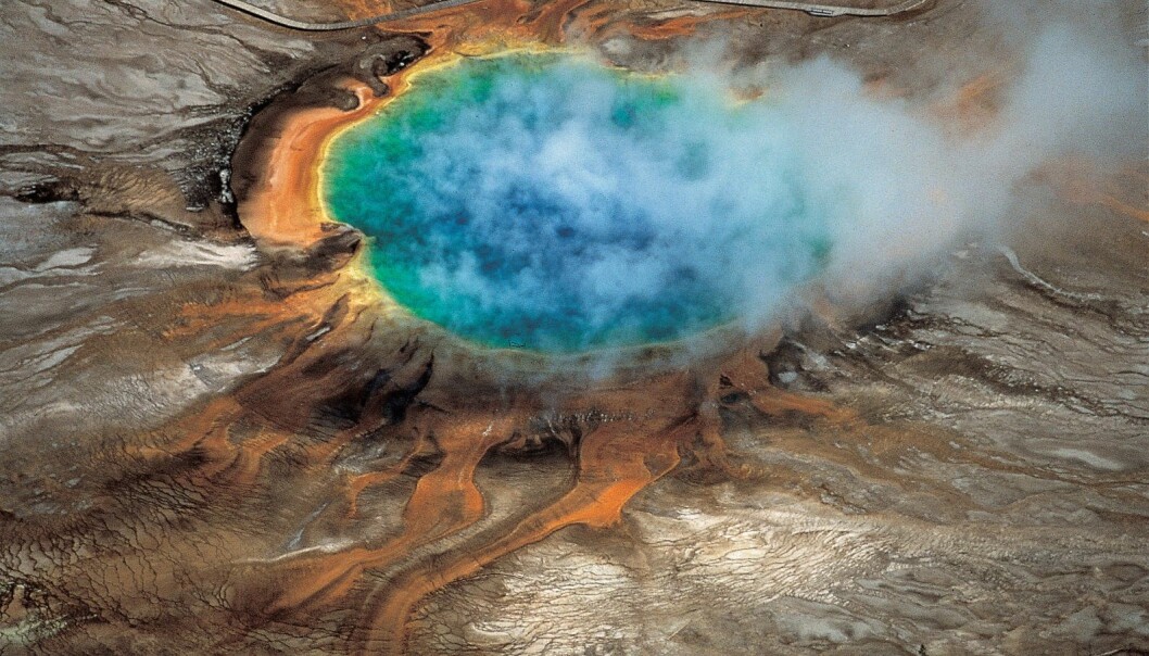 Et krater i Yellowstone nasjonalpark. De fantastiske fargene kommer blant annet av bakterier som lever i det glovarme vannet. Under disse formasjonene ligger en av verdens største supervulkaner. (Foto: 