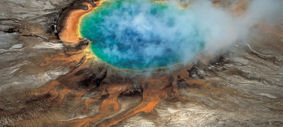 Et krater i Yellowstone nasjonalpark. De fantastiske fargene kommer blant annet av bakterier som lever i det glovarme vannet. Under disse formasjonene ligger en av verdens største supervulkaner. (Foto: 'Windows into the Earth' Robert B. Smith og Lee J. Siegel)