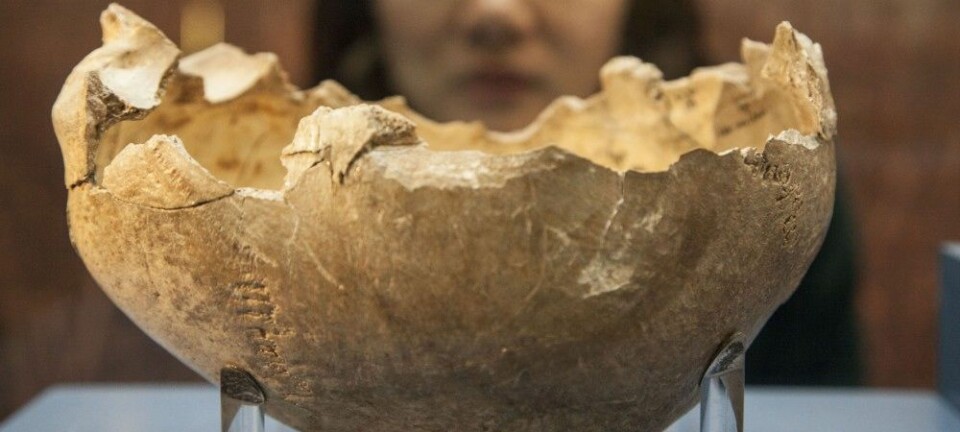 En undersøkelse fra 2011 viste at menneskene knuste hodeskallene fra likene og brukte dem som skåler og kopper. (Foto: Kevin Webb, NHM Image Resources / The Trustees of the Natural History Museum, London)