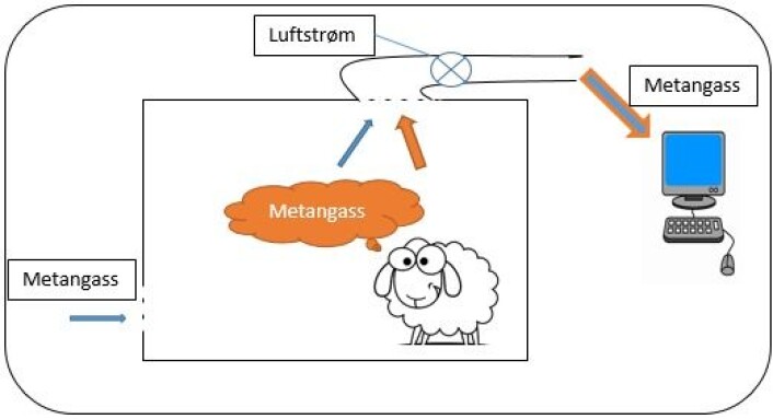 Metangass fra omgivelsene blander seg med metangass fra sauen inne i respirasjonskammeret. Gassen trekkes ut av kammeret og inn i en maskin som analyserer gassen og registrerer total mengde metangass. (Foto: (Illustrasjon: Bioforsk)) Metangass fra omgivelsene blander seg med metangass fra sauen inne i respirasjonskammeret. Gassen trekkes ut av kammeret og inn i en maskin som analyserer gassen og registrerer total mengde metangass. (Foto: (Illustrasjon: Bioforsk))