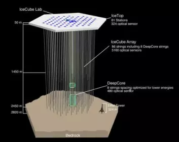 IceCube-detektoren dekker en kubikkilometer is på Sydpolen. Instrumentene består av 86 kabler, hver med 60 digitale optiske moduler (ekstremt følsomme lys-sensorer).  (Foto: (Illustrasjon: IceCube Collaboration) )