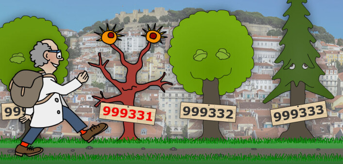Langt om lenge kom matematikeren til et artig primtall, nede ved Lisboa i Portugal. Som man ser, er primtallene noe for seg selv, også rent botanisk sett. Dette primtallet er dessuten spesielt, selv til å være primtall. Hvis du tar det venstre sifferet og flytter lengst til høyre i tallet, er det fortsatt et primtall. Dette kan du gjøre så mange ganger du vil. Det kalles et sirkulærprimtall. Partallene er, som man ser, mer optimistisk anlagte løvtrær. (Illustrasjon: Arnfinn Christensen. Foto: Flexikon, Creative Commons) Langt om lenge kom matematikeren til et artig primtall, nede ved Lisboa i Portugal. Som man ser, er primtallene noe for seg selv, også rent botanisk sett. Dette primtallet er dessuten spesielt, selv til å være primtall. Hvis du tar det venstre sifferet og flytter lengst til høyre i tallet, er det fortsatt et primtall. Dette kan du gjøre så mange ganger du vil. Det kalles et sirkulærprimtall. Partallene er, som man ser, mer optimistisk anlagte løvtrær. (Illustrasjon: Arnfinn Christensen. Foto: Flexikon, Creative Commons)