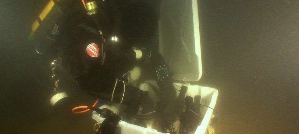 En dykker samler sammen noen av champagneflaskene som ble funnet utenfor Åland i 2010. (Foto: Anders Naesman Salvage Services/Epa)
