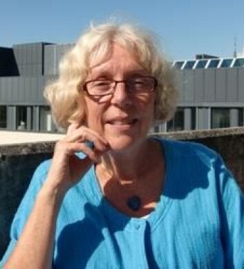 - Jeg håper at minnematerialet også kan brukes til å diskutere verdier i skolen, sier professor Sidsel Lied ved avdeling for lærerutdanning og naturvitenskap på Høgskolen i Hedmark. (Foto: HiHm) - Jeg håper at minnematerialet også kan brukes til å diskutere verdier i skolen, sier professor Sidsel Lied ved avdeling for lærerutdanning og naturvitenskap på Høgskolen i Hedmark. (Foto: HiHm)