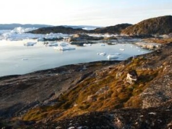 Tre kulturer har i forskjellige perioder, gjennom mer enn 3000 år, holdt til på boplassen Qajaa ved Ilulissat (Jakobshavn) Isfjord på Vest-Grønland. Her har de utnyttet fangstmulighetene på grensen mellom vann og is. Redskapene av tre, bein og skinn har blitt bevart av permafrosten. (Foto: Bo Elberling) Tre kulturer har i forskjellige perioder, gjennom mer enn 3000 år, holdt til på boplassen Qajaa ved Ilulissat (Jakobshavn) Isfjord på Vest-Grønland. Her har de utnyttet fangstmulighetene på grensen mellom vann og is. Redskapene av tre, bein og skinn har blitt bevart av permafrosten. (Foto: Bo Elberling)