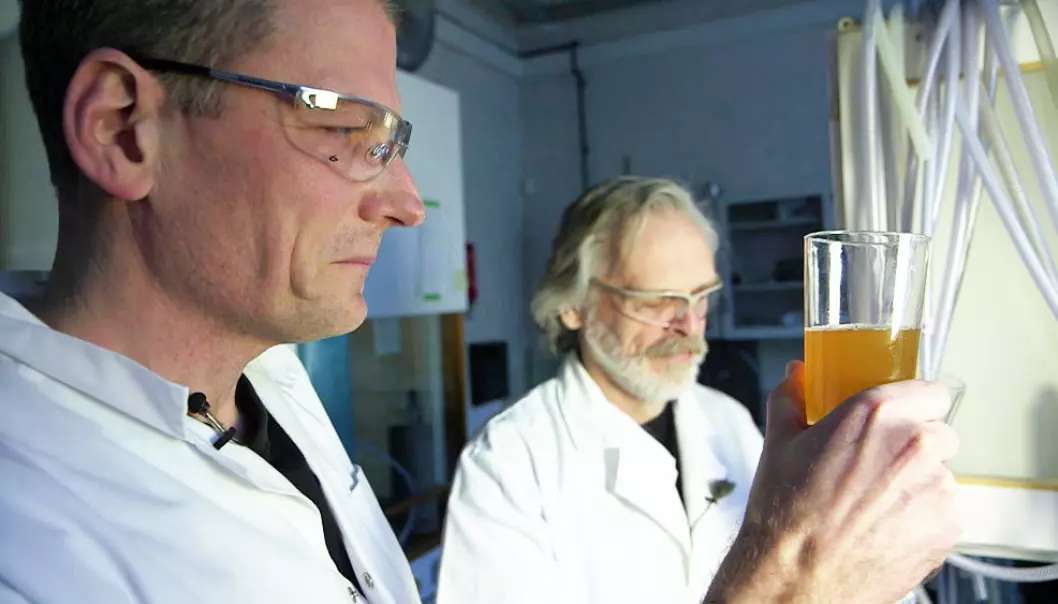 Interessen for norsk øl har aldri vært større, og NTNU har fulgt trenden ved å lage et eget mikrobryggeri i en lab på campus. Her brygges, testes og analyseres ølet ned i minste detalj.  (Foto: Roger Myren, NRK)