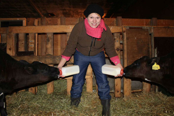 Det er best om ku og kalv får være sammen lenge, men bare halve døgnet. Det sier Julie Føske Johnsen, som er stipendiat ved Veterinærinstituttet og NMBU. (Foto: Camilla Mellemstrand) Det er best om ku og kalv får være sammen lenge, men bare halve døgnet. Det sier Julie Føske Johnsen, som er stipendiat ved Veterinærinstituttet og NMBU. (Foto: Camilla Mellemstrand)