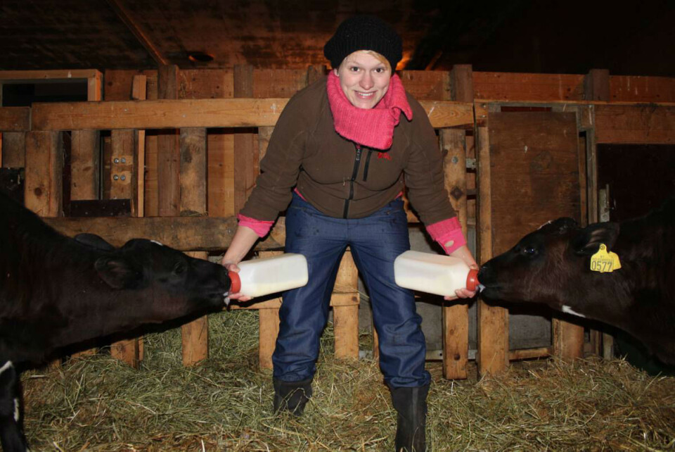 Det er best om ku og kalv får være sammen lenge, men bare halve døgnet. Det sier Julie Føske Johnsen, som er stipendiat ved Veterinærinstituttet og NMBU. (Foto: Camilla Mellemstrand)