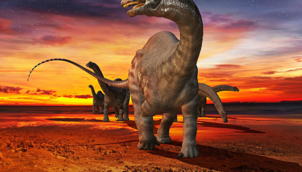 Brontosaurus eller apatosaurus? I over hundre år har man trodd at de var én og samme art. (Foto: Science Photo Library, NTB scanpix) Brontosaurus eller apatosaurus? I over hundre år har man trodd at de var én og samme art. (Foto: Science Photo Library, NTB scanpix)