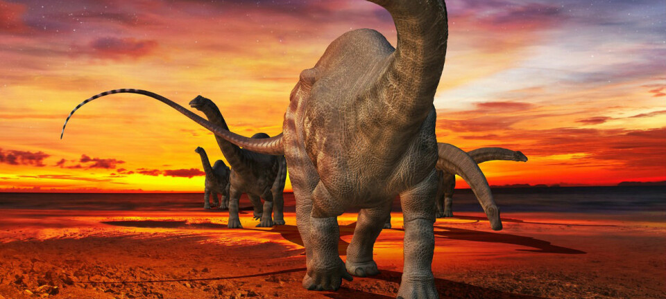 Brontosaurus eller apatosaurus? I over hundre år har man trodd at de var én og samme art. (Foto: Science Photo Library, NTB scanpix)