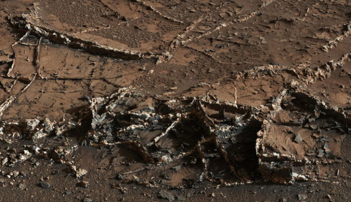 Mastkameraet på NASAs marskjøretøy Curiosity viser tydelige årer av hardere mineraler som står ut fra andre bergarter som er kraftigere erodert. (Foto: NASA/JPL-Caltech/MSSS) Mastkameraet på NASAs marskjøretøy Curiosity viser tydelige årer av hardere mineraler som står ut fra andre bergarter som er kraftigere erodert. (Foto: NASA/JPL-Caltech/MSSS)