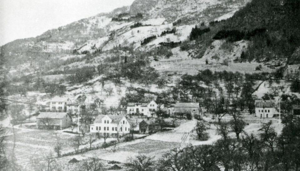 Klyngetunet på gården Opedal i Ullensvang var et av de største i hele landet før oppsplittinga etter jordskiftereformen. Bildet viser tunet før utskifting.  (Foto: Hardanger og Voss Folkemuseum)
