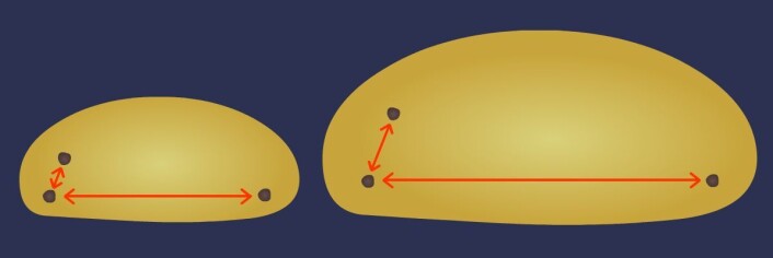 Universet utvider seg. Hvorfor farer de fjerneste delene av universet fortest vekk fra oss? Tenk på universet som en bolledeig til heving. Vi sitter på rosinen til venstre. Naborosinen ovenfor flytter seg ikke så langt unna når deigen heves. Rosinen til høyre i andre enden av deigen, altså universet, har fjernet seg mye mer. Den beveger seg fortest fra oss. (Foto: (Figur: Arnfinn Christensen, forskning.no)) Universet utvider seg. Hvorfor farer de fjerneste delene av universet fortest vekk fra oss? Tenk på universet som en bolledeig til heving. Vi sitter på rosinen til venstre. Naborosinen ovenfor flytter seg ikke så langt unna når deigen heves. Rosinen til høyre i andre enden av deigen, altså universet, har fjernet seg mye mer. Den beveger seg fortest fra oss. (Foto: (Figur: Arnfinn Christensen, forskning.no))