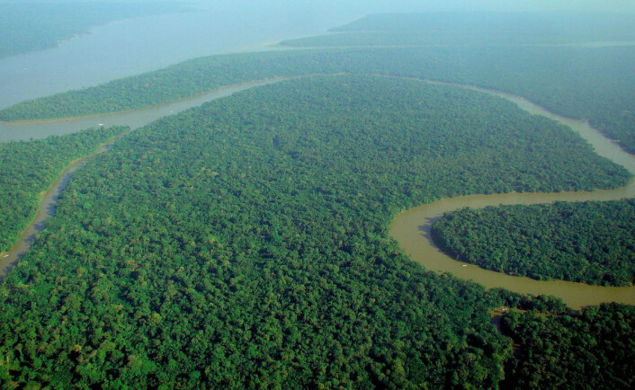 Den tropiske regnskogen i Amazonas og Indonesia bidrar overlegent mest til å binde opp karbon. Derfor er det illevarslende at denne skogen ødelegges. Likevel blir mer karbon enn tidligere nå bundet i nordlige boreale skoger, tempererte skoger, savanner og andre grønne områder der veksten er bedre. (Foto: Lubasi, Creative Commons.) Den tropiske regnskogen i Amazonas og Indonesia bidrar overlegent mest til å binde opp karbon. Derfor er det illevarslende at denne skogen ødelegges. Likevel blir mer karbon enn tidligere nå bundet i nordlige boreale skoger, tempererte skoger, savanner og andre grønne områder der veksten er bedre. (Foto: Lubasi, Creative Commons.)