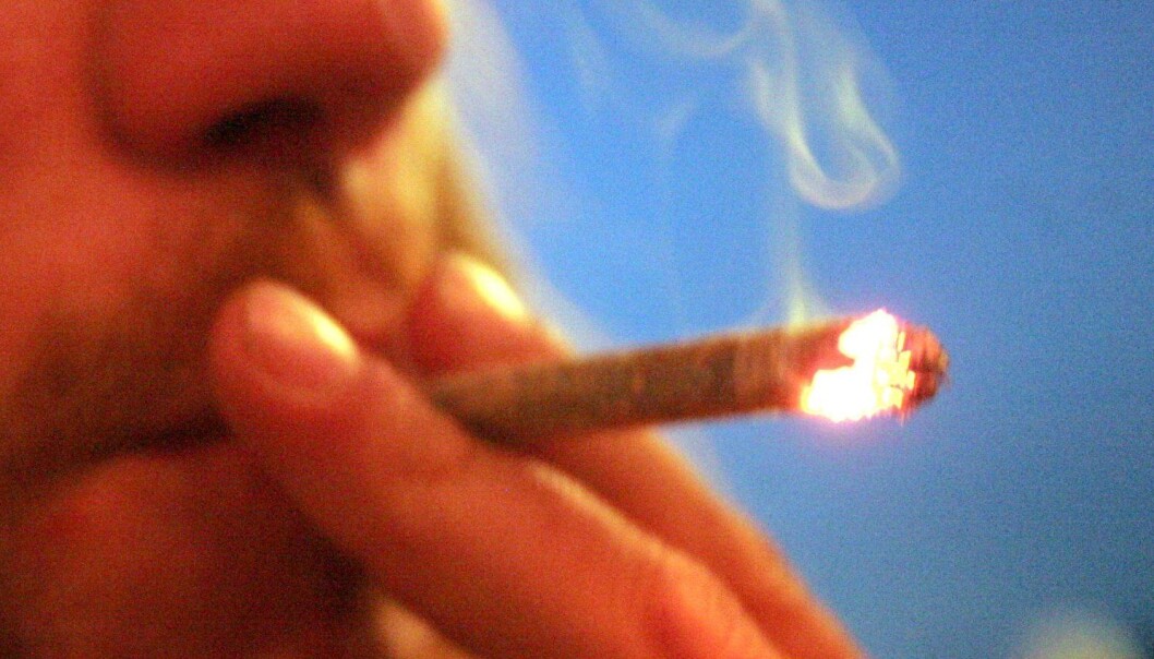 25 ressursterke cannabisbrukere er med i en ny, norsk studie. (Foto: Colourbox) 25 ressursterke cannabisbrukere er med i en ny, norsk studie. (Foto: Colourbox)